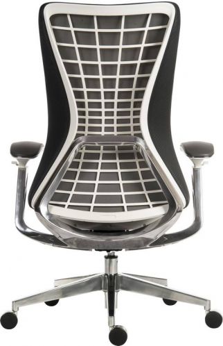 Luxury Mesh Executive Office Chair - Black or White Frame Option - QUANTUM