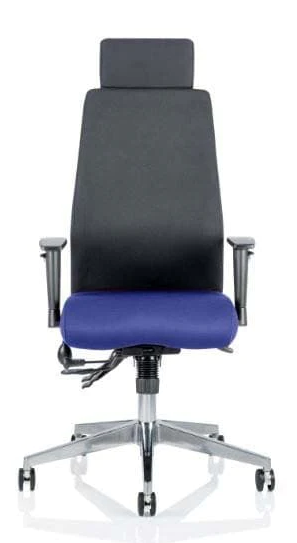 Onyx Fabric Ergonomic Posture Office Chair - Recommended by Leading UK Chiropractor Doctor