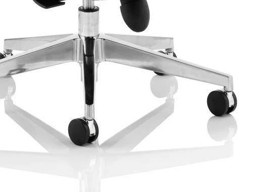 Chiro Plus Fabric Ergonomic Office Chair - Recommended by Leading UK Chiropractor Doctor