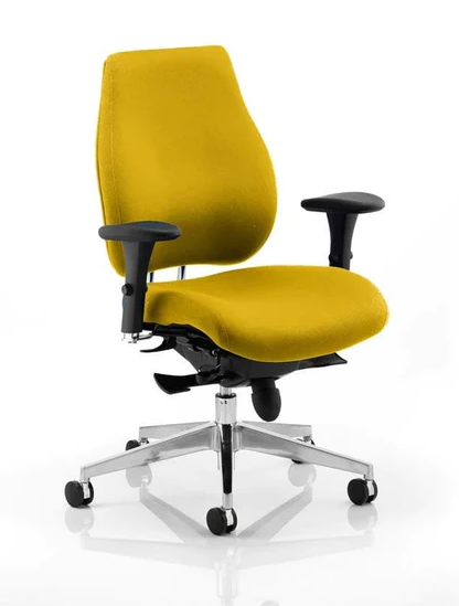 Chiro Plus Fabric Ergonomic Office Chair - Recommended by Leading UK Chiropractor Doctor