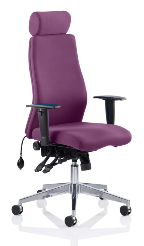 Onyx Fabric Ergonomic Posture Office Chair - Recommended by Leading UK Chiropractor Doctor