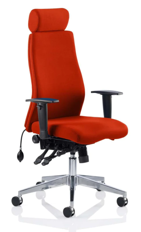 Onyx Fabric Ergonomic Posture Office Chair - Recommended by Leading UK Chiropractor Doctor