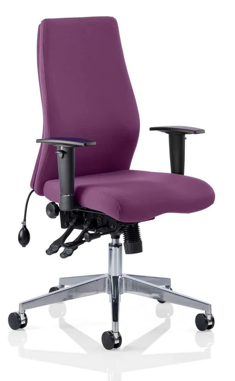 Onyx Fabric Ergonomic Posture Office Chair - Recommended by Leading UK Chiropractor Doctor