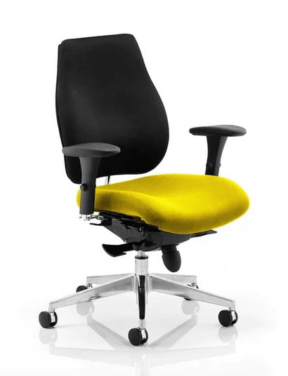 Chiro Plus Fabric Ergonomic Office Chair - Recommended by Leading UK Chiropractor Doctor