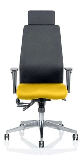 Onyx Fabric Ergonomic Posture Office Chair - Recommended by Leading UK Chiropractor Doctor