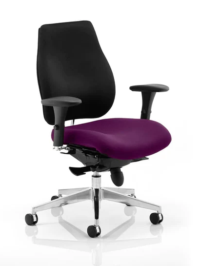 Chiro Plus Fabric Ergonomic Office Chair - Recommended by Leading UK Chiropractor Doctor
