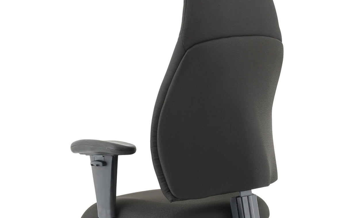 Esme Fabric Posture Chair with Height Adjustable Arms