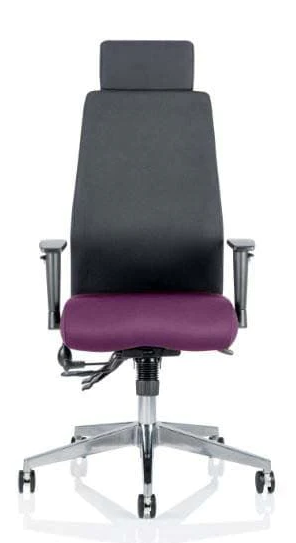Onyx Fabric Ergonomic Posture Office Chair - Recommended by Leading UK Chiropractor Doctor