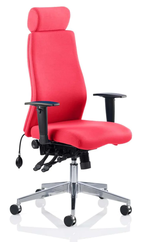 Onyx Fabric Ergonomic Posture Office Chair - Recommended by Leading UK Chiropractor Doctor