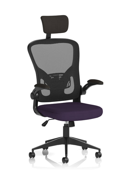 Ace High Back Mesh Back Office Chair With Folding Arms and Headrest