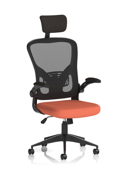 Ace High Back Mesh Back Office Chair With Folding Arms and Headrest