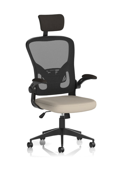 Ace High Back Mesh Back Office Chair With Folding Arms and Headrest