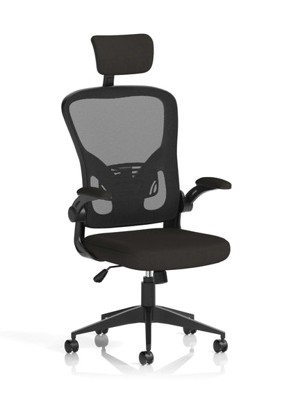 Ace High Back Mesh Back Office Chair With Folding Arms and Headrest