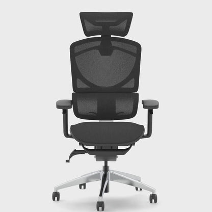 Ergo Click Plus High Back Ergonomic Posture Office Chair with Height Adjustable Arms and Headrest